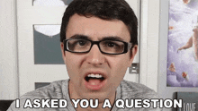 I Asked You A Question Steve Terreberry GIF - I Asked You A Question Steve Terreberry I Had A Question For You GIFs