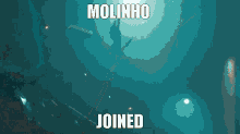 Molinho Molinho Joined GIF - Molinho Molinho Joined Molin GIFs