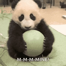 GIF