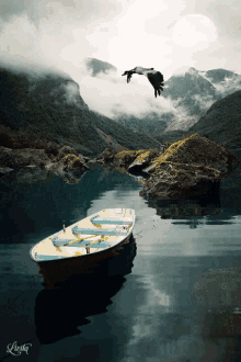Boat Vulture GIF - Boat Vulture Mountain GIFs
