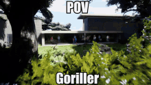 Pov Gorilla GIF - Pov Gorilla Goriller GIFs