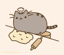 baking kitty