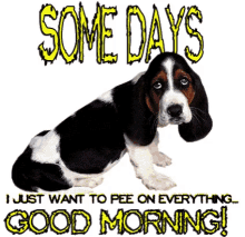 Pee On Everything Dog GIF - Pee On Everything Dog Good Morning GIFs