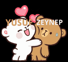 Yusuf Zeynep GIF