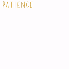 patience election