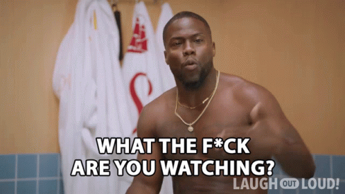 what-the-heck-are-you-watching-kevin-hart.gif