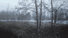 Snow Tree GIF - Snow Tree Lake GIFs