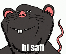 Safi Hi Safi GIF - Safi Hi Safi Hi GIFs