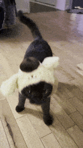 Cat Black Cat GIF - Cat Black Cat Cute GIFs
