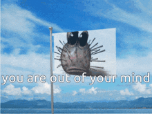 a picture of a fish with the words you are out of your mind below it