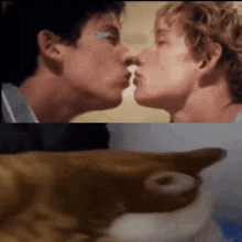 Challengers Challengers Kiss GIF - Challengers Challengers Kiss Cats Kissing GIFs