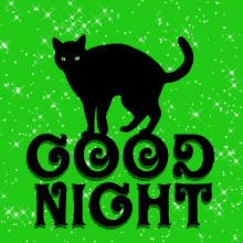 Good Night Black Cat GIF