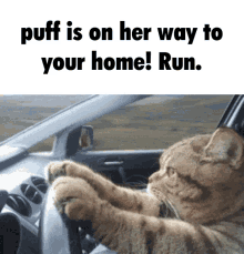 Puff Spurtland GIF - Puff Spurtland Catsoda GIFs