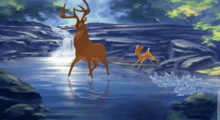 Splash Father And Son GIF - Splash Father And Son Bambi 2 GIFs