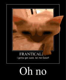 Ohno GIF - Ohno GIFs