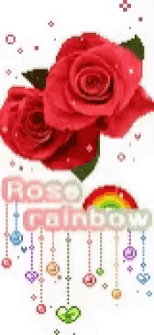 Red Rose Rose Rainbow GIF - Red Rose Rose Rainbow GIFs