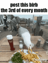 Monthly Essica GIF - Monthly Essica Birb GIFs