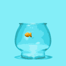 Animated Goldfish GIFs | Tenor