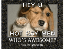 a picture of a dog with the caption hey u hot gay men who 's awesome you 're awesome