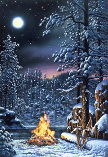 Holiday Snow GIF - Holiday Snow Onfire GIFs