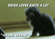 Love Deiko X Kaito GIF - Love Deiko X Kaito Deiko Loves Kaito A Lot GIFs