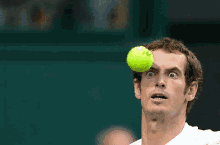 Googly Eyes GIF - Andy Murray Tennis Ball Stare GIFs