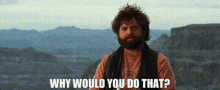 Due Date Ethan Tremblay GIF - Due Date Ethan Tremblay Why Would You Do That GIFs