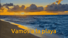 Playa GIF - Playa GIFs