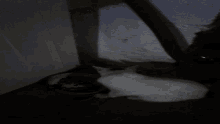 a white dog is eating from a bowl in the dark