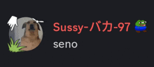 a picture of a dog with the name seno underneath