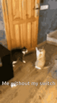 Cat Funny GIF - Cat Funny Falling GIFs