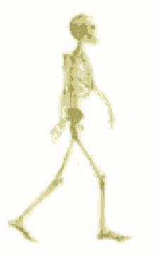 Squelette Marche GIF - Squelette Marche Skeleton Walking GIFs