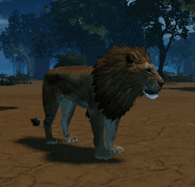 a lion with a long mane is standing on a dirt field with trees in the background