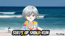 Surfs Up Shinji-kun Kaworu GIF - Surfs Up Shinji-kun Surfs Up Shinji GIFs