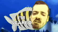 a fish with a man 's face and the words i 'm scared below it