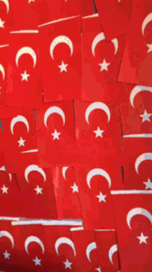 Turkey Representing GIF - Turkey Representing Boy GIFs