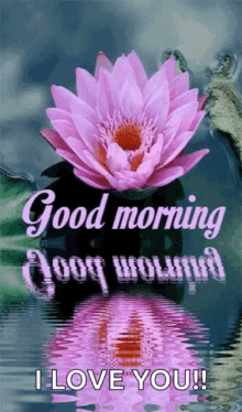 Good Morning Flower GIF
