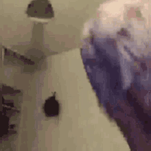 a close up of a person 's hand holding a purple object in a room .