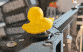 Ducky Spin GIF - Ducky Spin GIFs