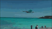 Airport Near Beach GIF - Airport Plane Beach GIFs