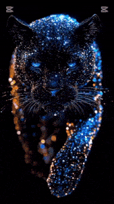 a picture of a black panther with blue eyes and the name tuba on the bottom