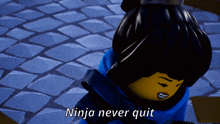 Ninjago Nya GIF - Ninjago Nya Ninja Never Quit GIFs