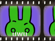 Uwu Rabbit GIF - Uwu Rabbit Bunny GIFs