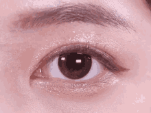 눈 촉촉 깜빡 눈알 눈깔 렌즈 GIF - Eyes GIFs
