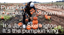 Justinscarred Pumpkin GIF - Justinscarred Pumpkin Jack Skellington GIFs