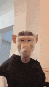 a person is wearing a monkey mask and a black shirt .