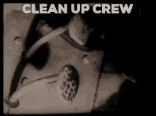 cleanupcrew