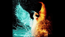 Phoenix Fire GIF