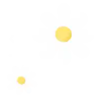 two yellow circles on a white background
