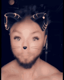 Mikenspired Catman GIF - Mikenspired Catman Suprise GIFs